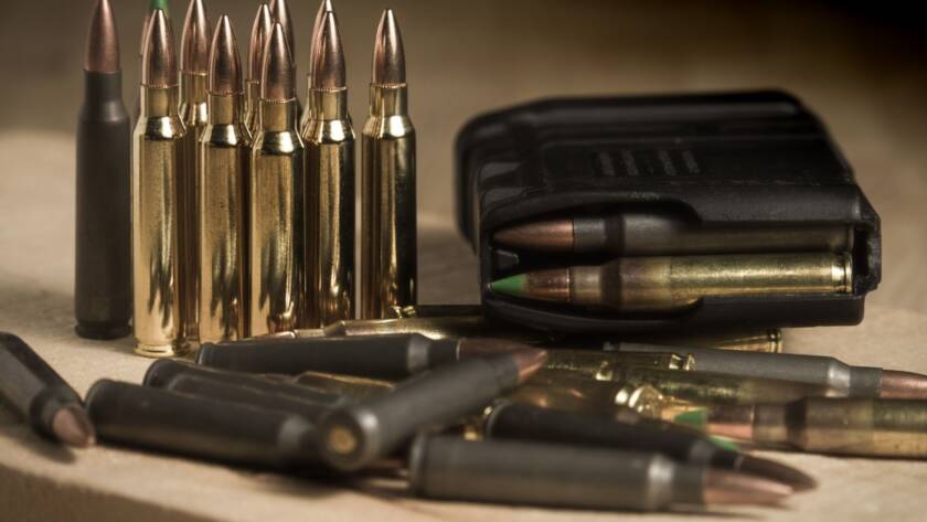 Various types of ammunition including bullets, shotgun shells, and specialty rounds.