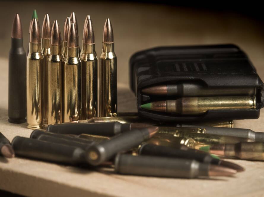 Various types of ammunition including bullets, shotgun shells, and specialty rounds.